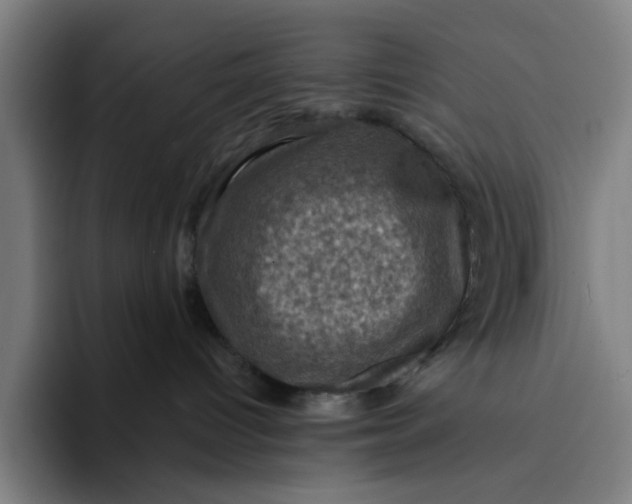 X0000094210096200711161837