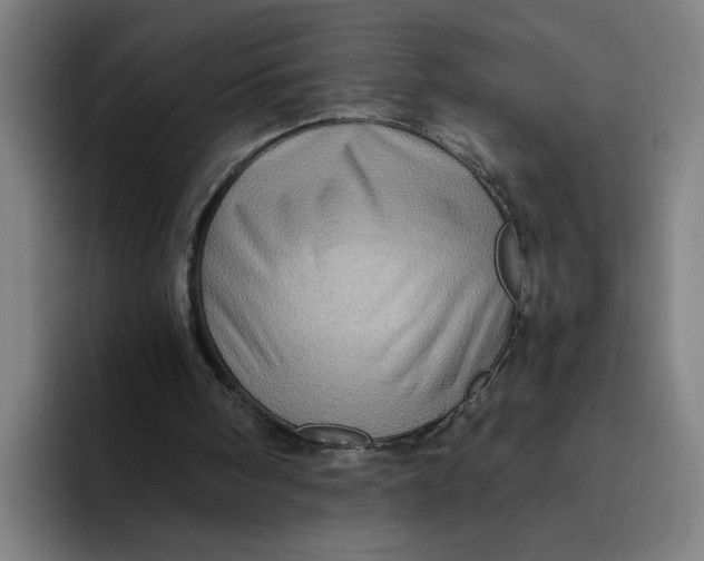 X0000094210098200711161837