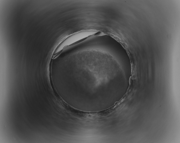 X0000094210099200711161837