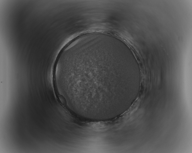 X0000094210100200711161837