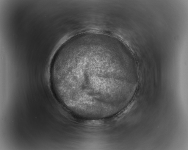 X0000094210102200711161837