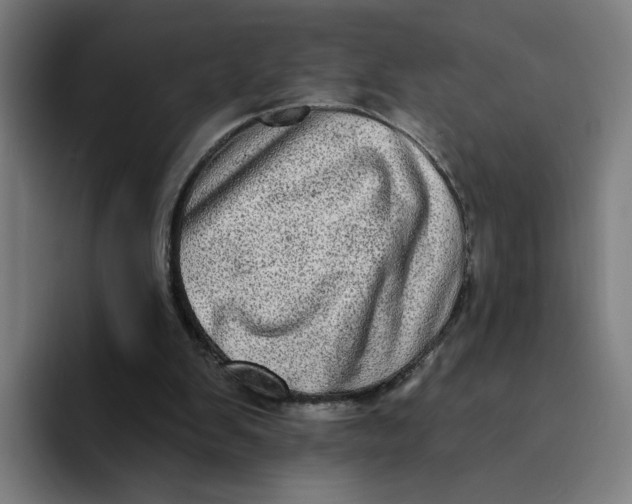 X0000094210103200711161837