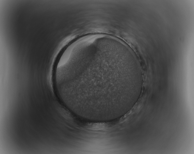 X0000094210104200711161837