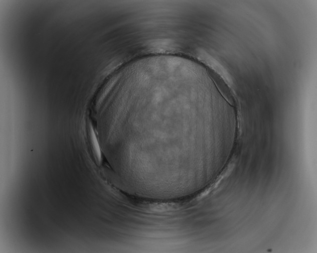 X0000094210105200711161837