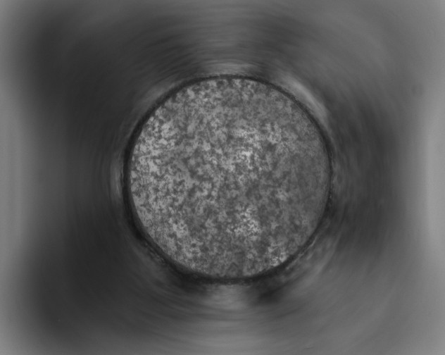 X0000094210107200711161837