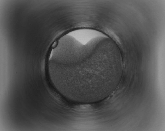 X0000094210108200711161837