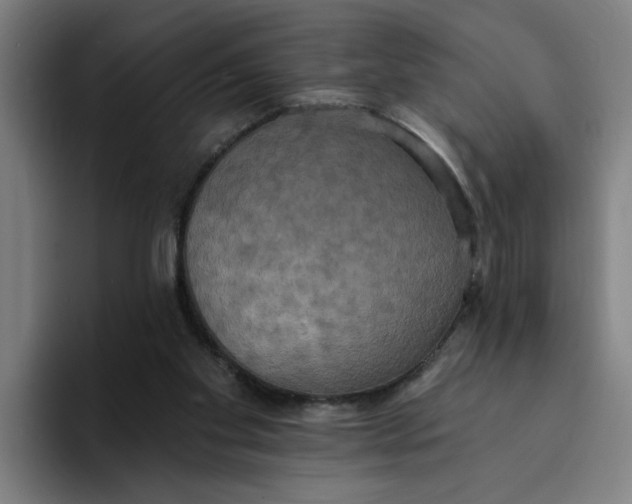 X0000094210109200711161837