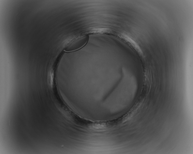 X0000094210110200711161837