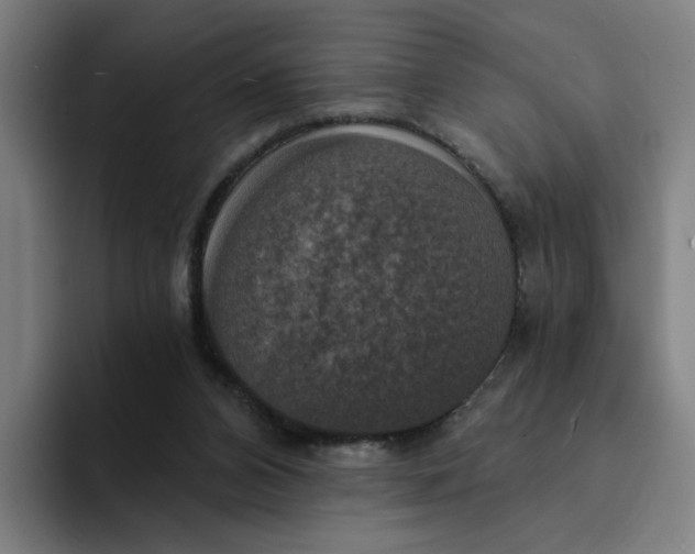 X0000094210112200711161836