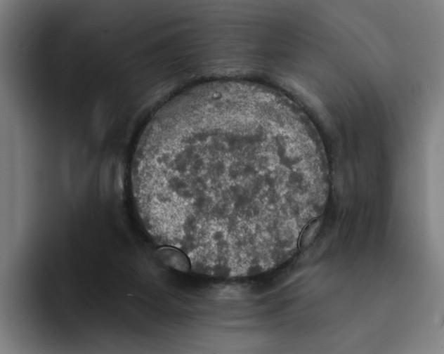 X0000094210115200711161836