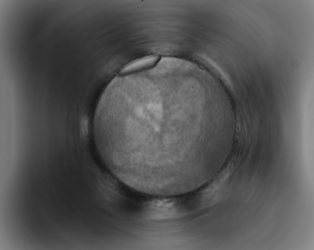 X0000094210117200711161836
