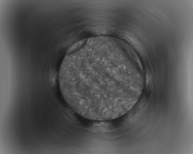 X0000094210125200711161836