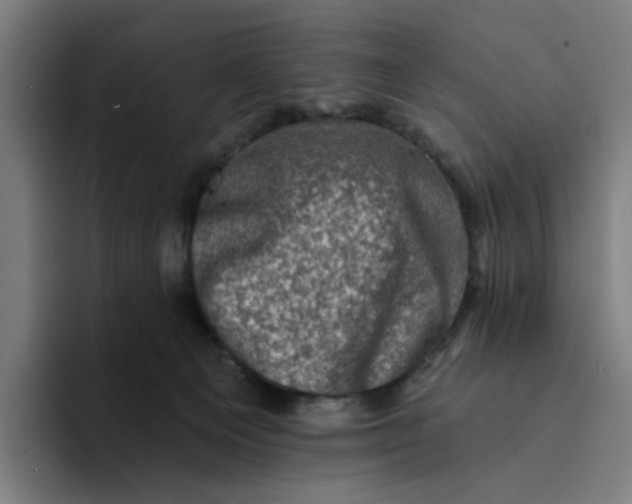 X0000094210129200711161836