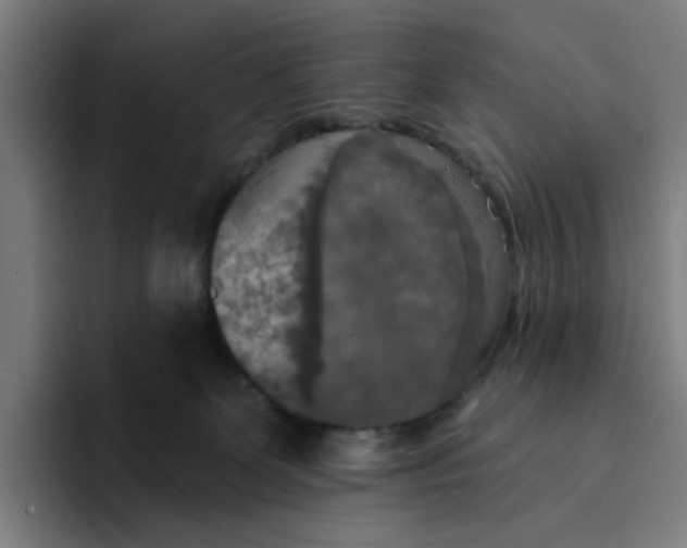 X0000094210131200711161836
