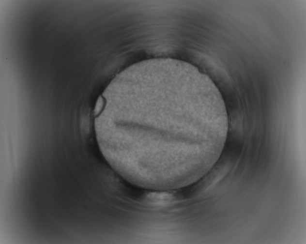 X0000094210133200711161836