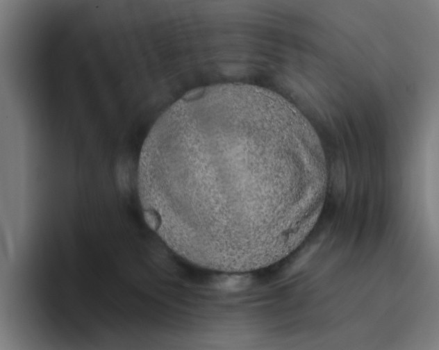 X0000094210135200711161836