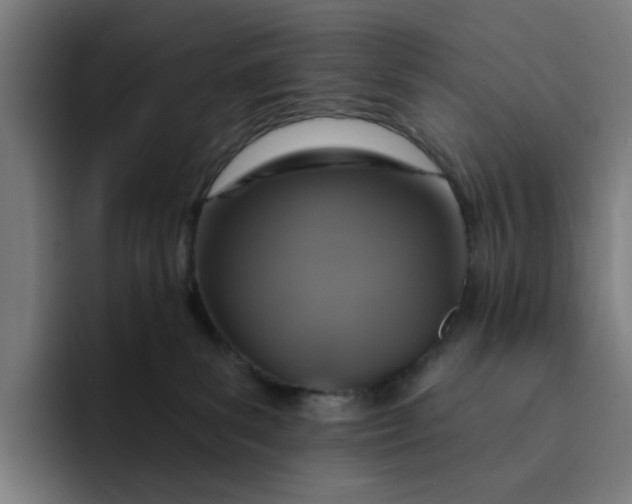 X0000094210139200711161836