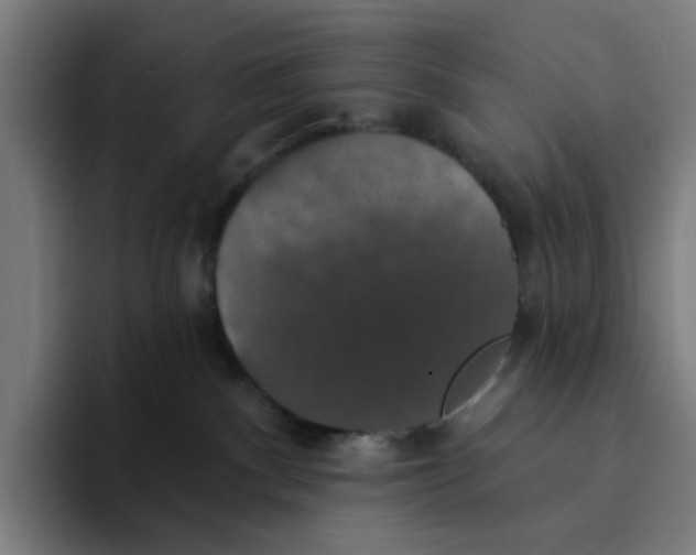 X0000094210140200711161836