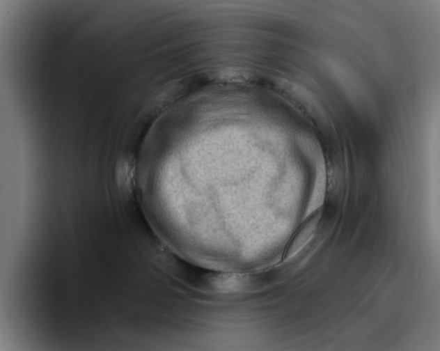 X0000094210142200711161836