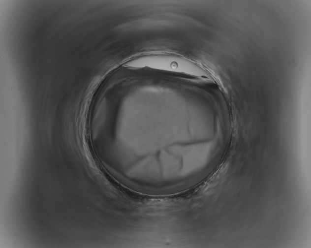 X0000094210145200711161835