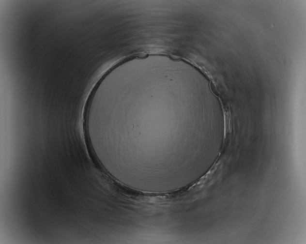 X0000094210147200711161835
