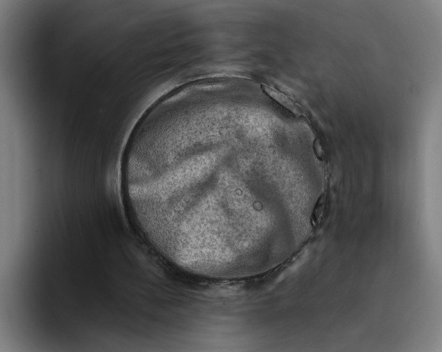 X0000094210148200711161835