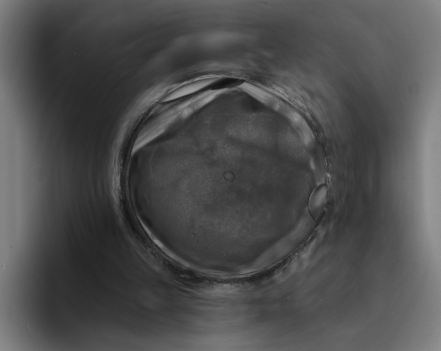 X0000094210149200711161836
