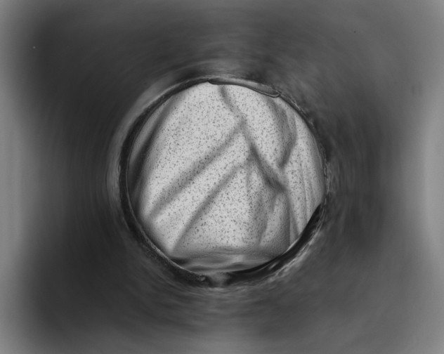 X0000094210150200711161836