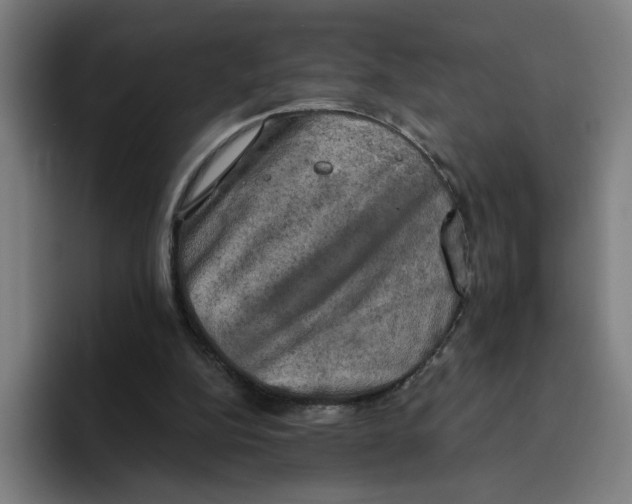 X0000094210152200711161836