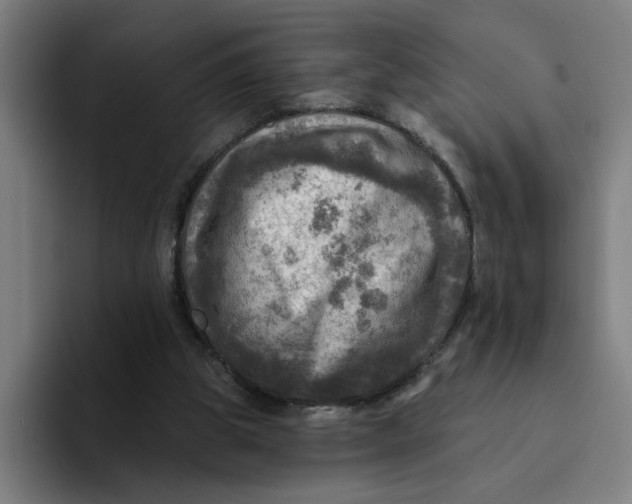 X0000094210153200711161836