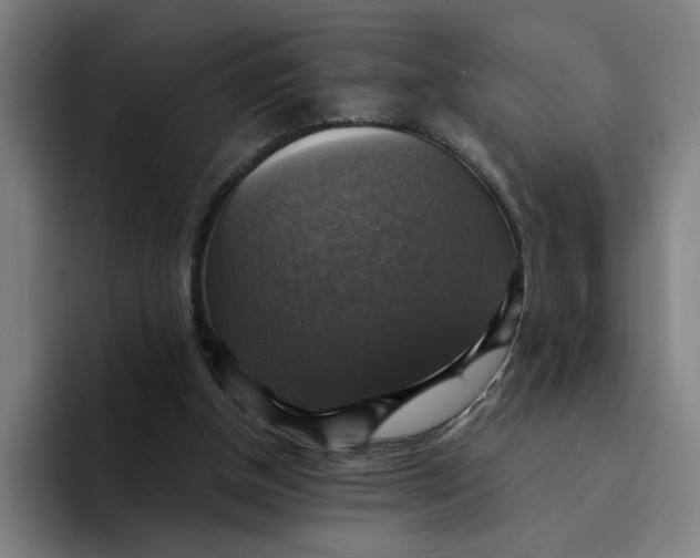 X0000094210154200711161836