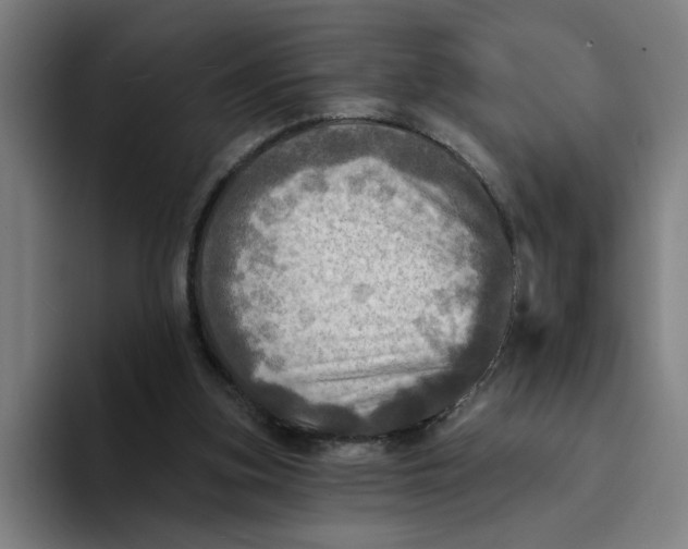 X0000094210155200711161836