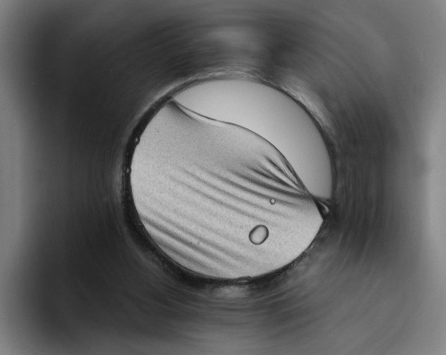 X0000094210156200711161836
