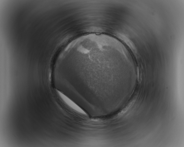 X0000094210157200711161836