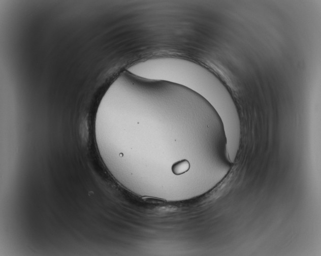 X0000094210158200711161836