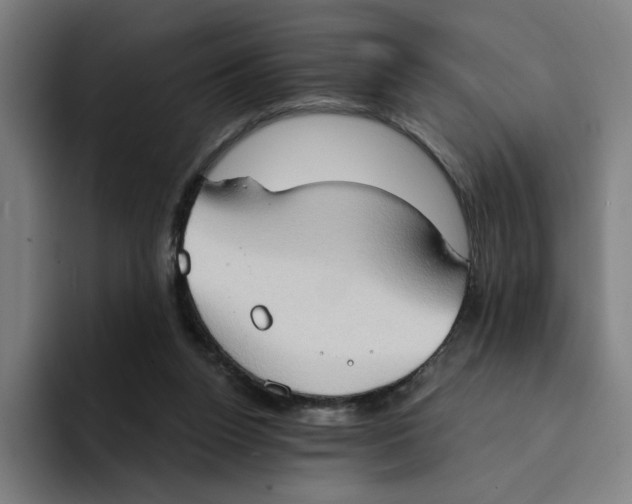 X0000094210160200711161836