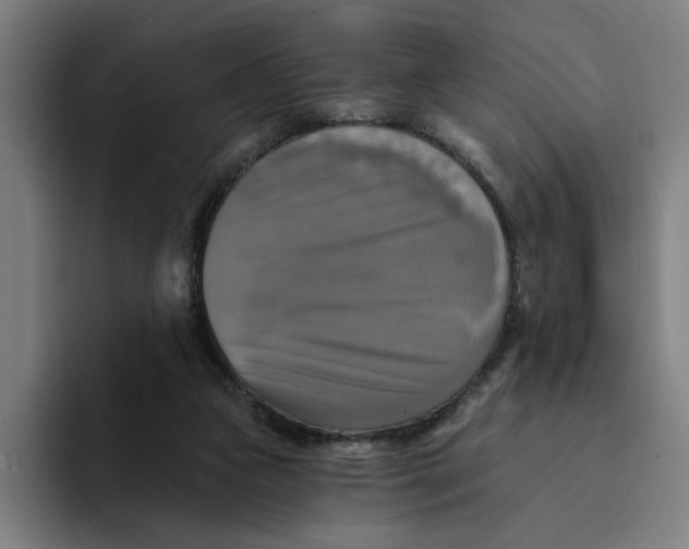 X0000094210161200711161836
