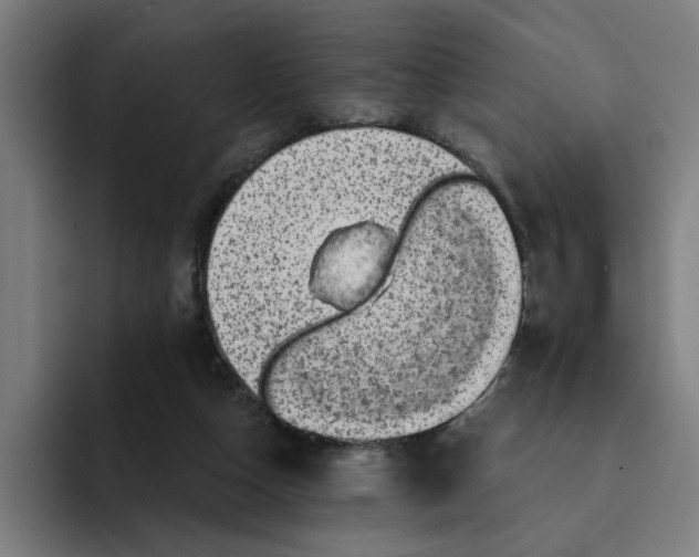 X0000094210162200711161836