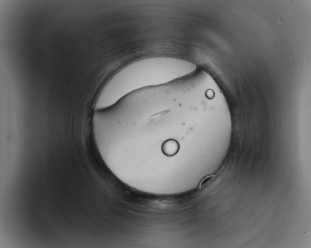 X0000094210164200711161836