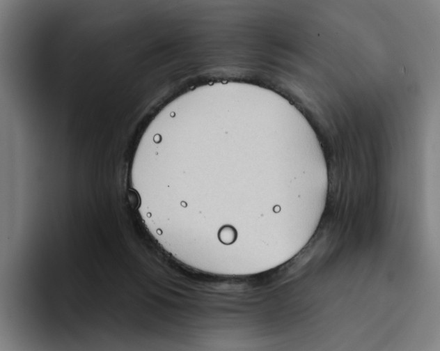 X0000094210168200711161836