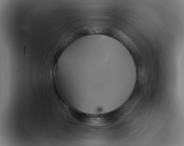 X0000094210169200711161836