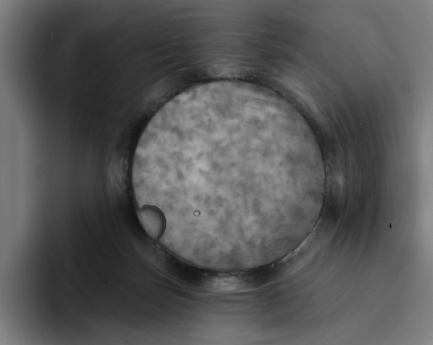 X0000094210171200711161836