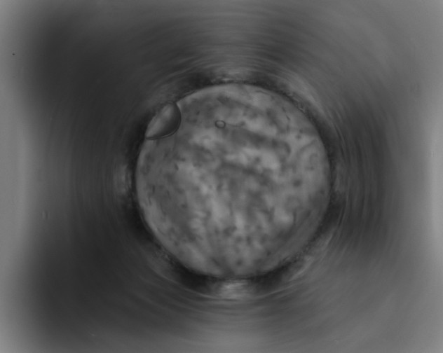 X0000094210173200711161836