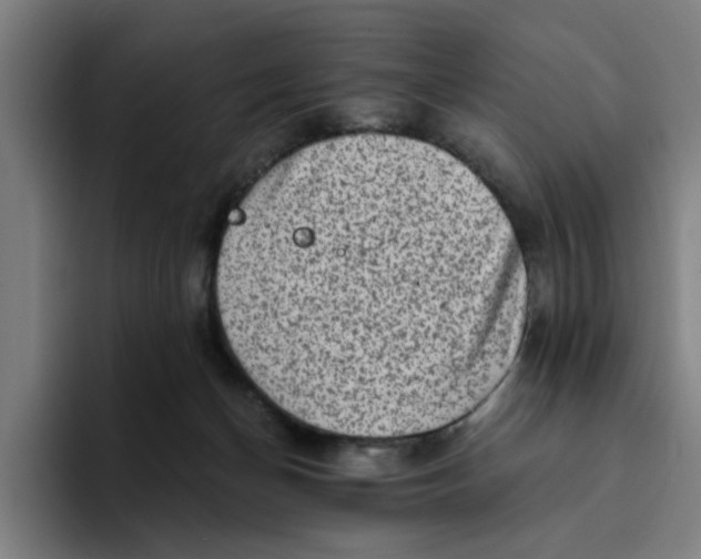 X0000094210174200711161836