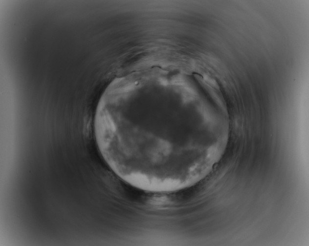 X0000094210177200711161836