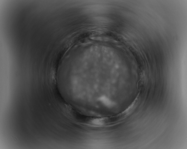 X0000094210178200711161836