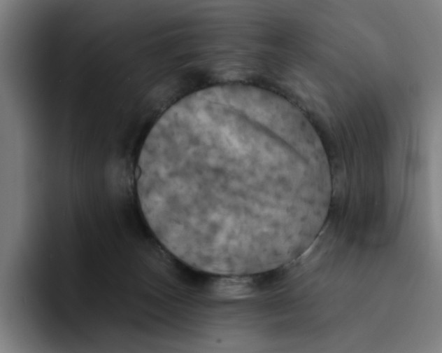 X0000094210179200711161836