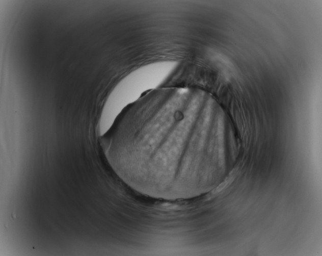X0000094210180200711161836