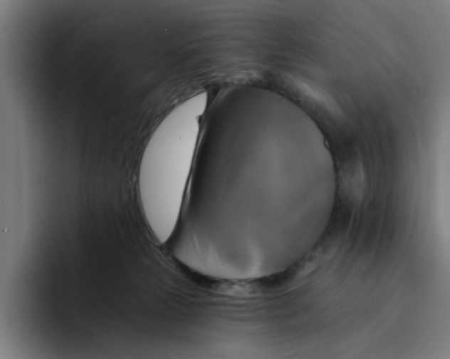 X0000094210181200711161836