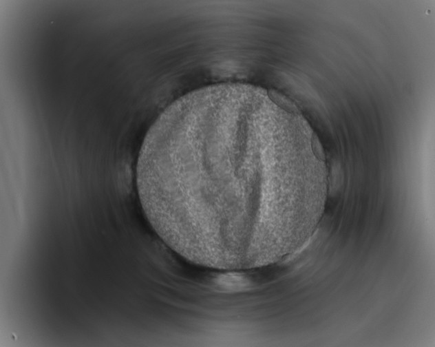 X0000094210183200711161836